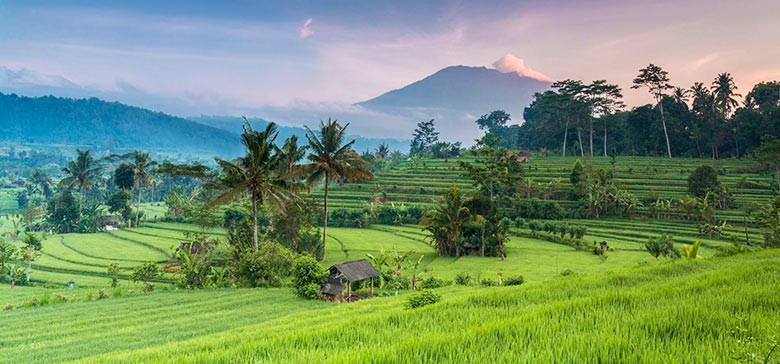 Prosto z Bali