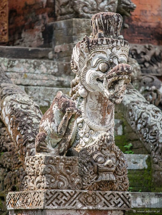 Adorre 66